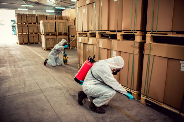 Best Termite Control Services  in Eclectic, AL