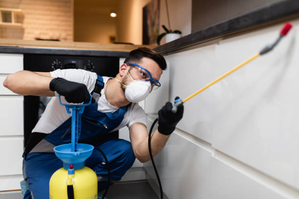 Best Ant Control Services  in Eclectic, AL