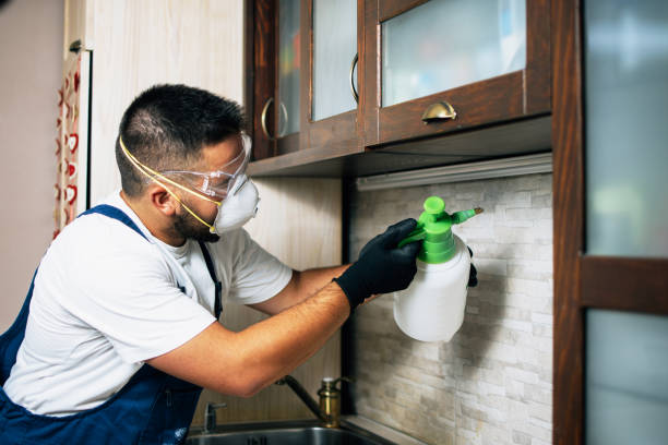 Best Best Pest Control Companies  in Eclectic, AL