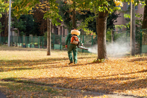 Flea Control Services in Eclectic, AL