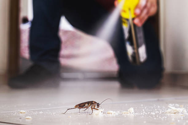 Eclectic, AL Pest Control Company
