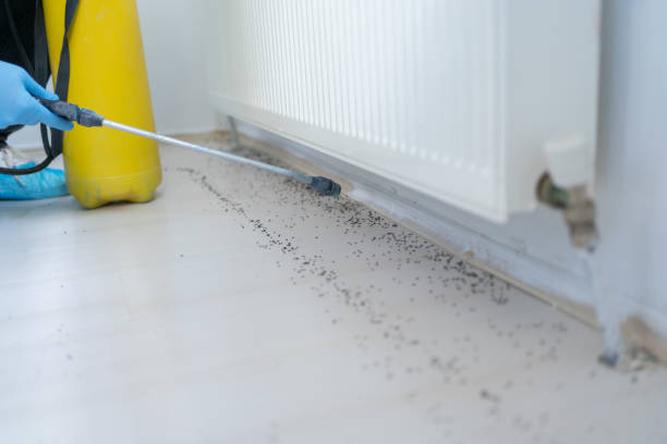 Best Exterminator Services  in Eclectic, AL