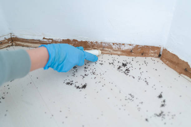 Best Wasp Removal Services  in Eclectic, AL